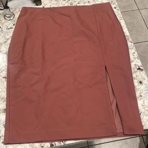 Express Pencil Skirt